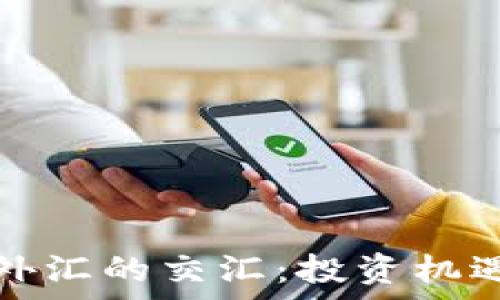   
加密货币与外汇的交汇：投资机遇与风险分析