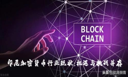 印尼加密货币行业现状：机遇与挑战并存