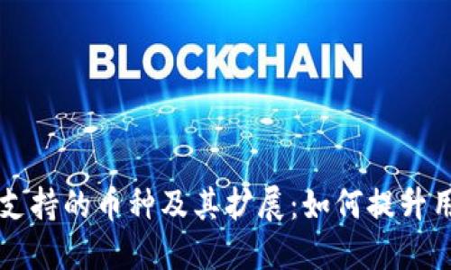 IM钱包支持的币种及其扩展：如何提升用户体验