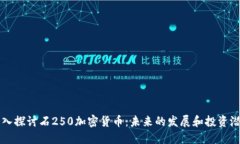 深入探讨石250加密货币：