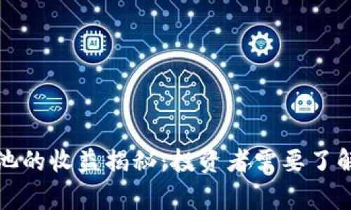 TP钱包资金池的收益揭秘：投资者需要了解的关键事项