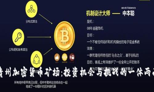 贵州加密货币矿场：投资机会与挑战的一体两面