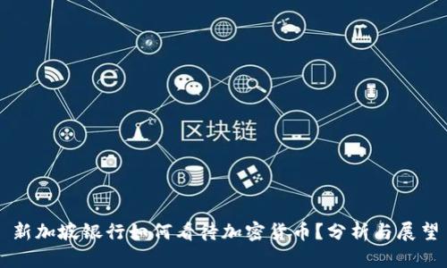 新加坡银行如何看待加密货币？分析与展望