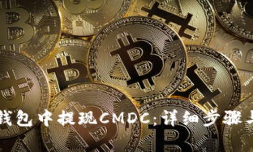如何在TP钱包中提现CMDC：详细步骤与注意事项