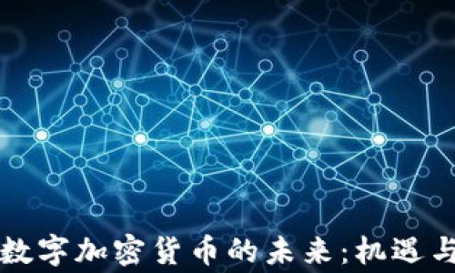 
国家数字加密货币的未来：机遇与挑战