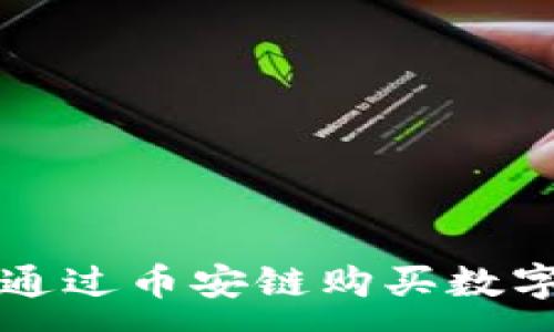 :
如何在TP钱包中通过币安链购买数字货币的完整指南