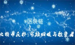 2023年比特币反扑：市场回