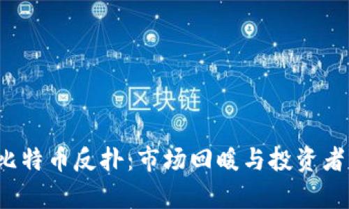 2023年比特币反扑：市场回暖与投资者情绪分析