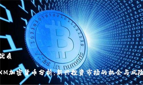 优质

XM加密货币分析：新兴投资市场的机会与风险