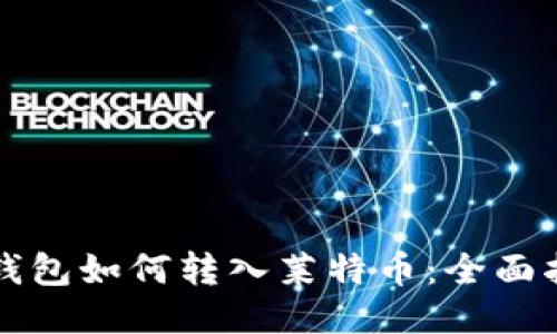 TP钱包如何转入莱特币：全面指南