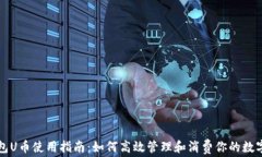 TP钱包U币使用指南：如何