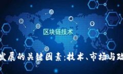 加密货币发展的关键因素