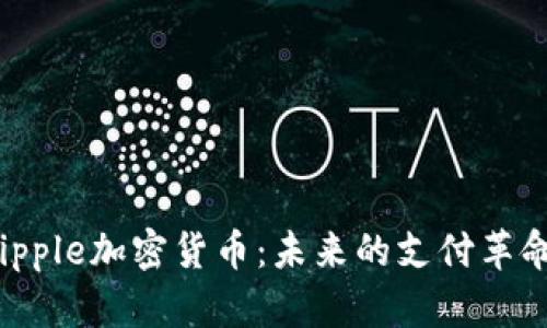 深入探讨Ripple加密货币：未来的支付革命还是泡沫？