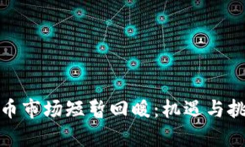 加密货币市场短暂回暖：机遇与挑战并存