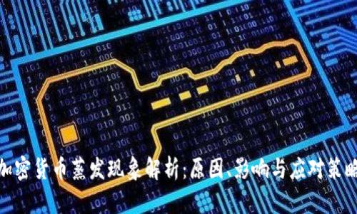 加密货币蒸发现象解析：原因、影响与应对策略