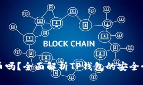 TP钱包会丢币吗？全面解析TP钱包的安全性与使用技巧