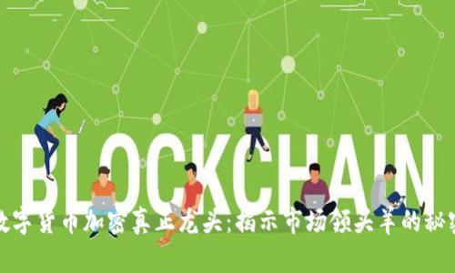 数字货币加密真正龙头：揭示市场领头羊的秘密