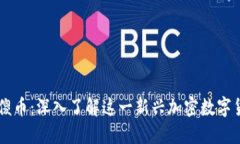 没傻币：深入了解这一新