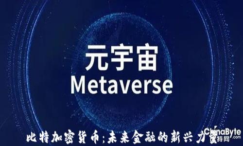 
比特加密货币：未来金融的新兴力量