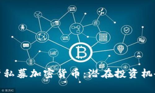 全面解析私募加密货币：潜在投资机会与风险