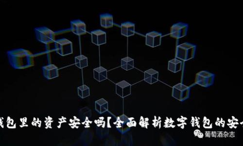 TP钱包里的资产安全吗？全面解析数字钱包的安全性