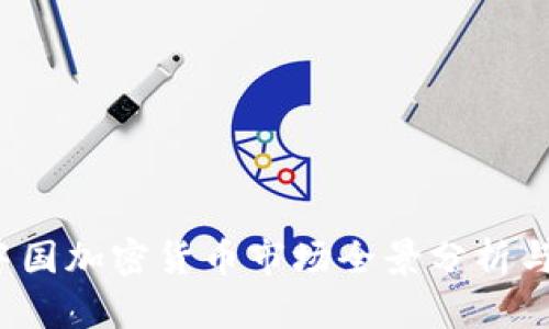 2023年中国加密货币市场全景分析与视频推荐