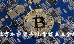 全面解析数字加密货币P