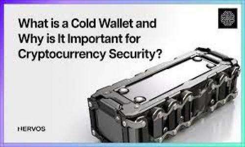 

如何安全下载和使用虚拟电子钱包？全面指南