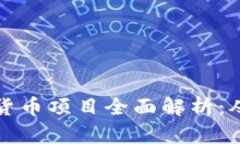 俄罗斯加密货币项目全面