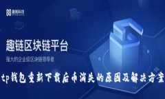tp钱包重新下载后币消失的