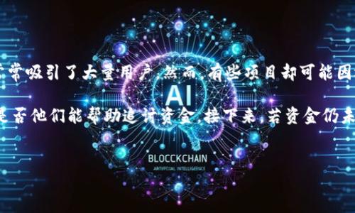 详细介绍

在数字货币日益普及的今天，相关的投资项目层出不穷，然而随之而来的也有不少骗局。在这其中，TP钱包（Token Pocket）作为一个广泛使用的数字钱包，其背后的投资项目常常吸引了大量用户。然而，有些项目却可能因运营不善或恶意跑路而让投资人遭受损失。当这类事件发生时，追讨损失成为了受害者迫切需要面对的一项任务。那么，如何有效追讨因TP钱包投资项目跑路而导致的损失呢？

首先，我们要明确的是，追讨损失的第一步是收集证据。所有与投资相关的交易记录、聊天记录、推广链接、投资协议等都应当妥善保存。其次，可以尝试联系TP钱包的客服，询问是否他们能帮助追讨资金。接下来，若资金仍未能追回，可以考虑向区块链相关的法律服务机构寻求帮助，或者向警方报案。此外，加入相关的维权组织或社区，也能帮助扩大舆论声势，增加追回资金的可能性。


TP钱包投资项目跑路如何追讨：全面指南与实用建议