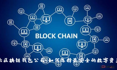 全球第一大区块链钱包公司：如何选择最安全的数字资产存储工具