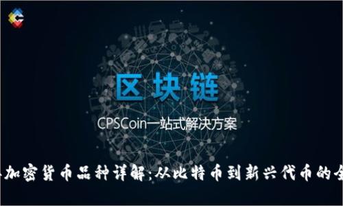 2023年加密货币品种详解：从比特币到新兴代币的全景分析