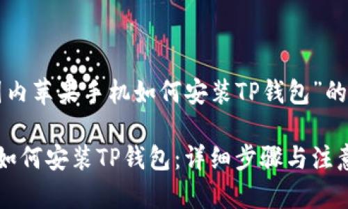 下面是关于“国内苹果手机如何安装TP钱包”的及相关关键词。

国内苹果手机如何安装TP钱包：详细步骤与注意事项