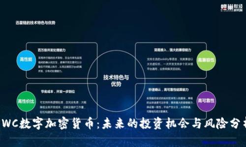 SWC数字加密货币：未来的投资机会与风险分析
