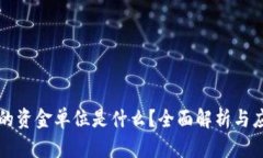 TP钱包的资金单位是什么？全面解析与应用指南