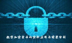 数字加密货币的实际应用与前景分析