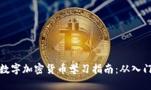 可能的数字加密货币学习指南：从入门到精通