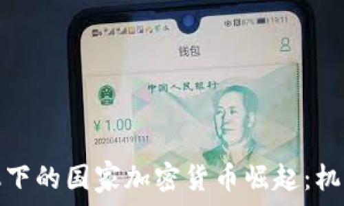   
货币危机下的国家加密货币崛起：机遇与挑战
