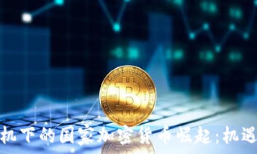   
货币危机下的国家加密货币崛起：机遇与挑战