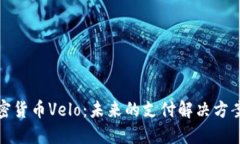 深入了解加密货币Velo：未