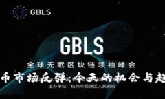 加密货币市场反弹：今天的机会与趋势分析