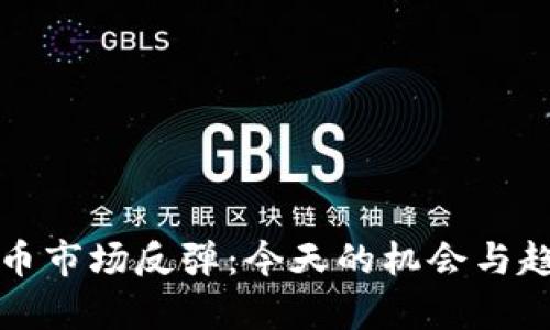 加密货币市场反弹：今天的机会与趋势分析