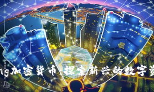 DogeKing加密货币：探索新兴的数字资产市场