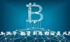 TP钱包加池子：投资新选择