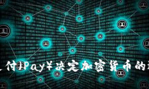 如何使用支付（Pay）决定加密货币的选择与投资