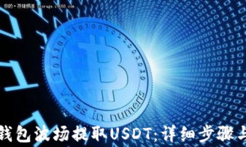 
如何在TP钱包波场提取USDT：详细步骤与注意事项