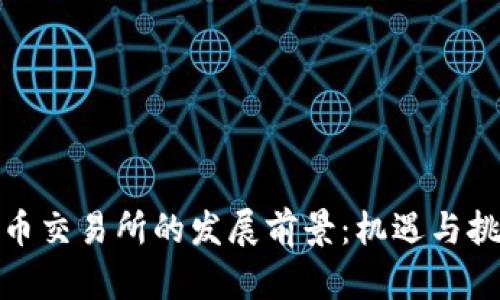 加密货币交易所的发展前景：机遇与挑战并存
