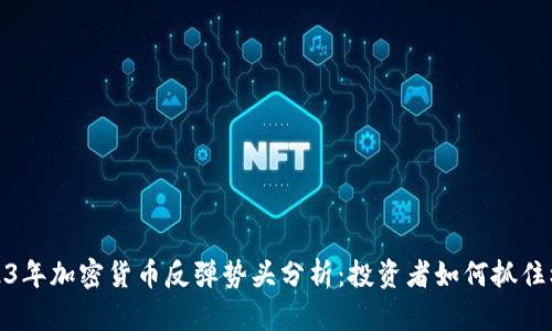 2023年加密货币反弹势头分析：投资者如何抓住机会