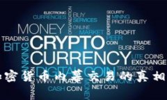 拉萨加密货币内幕交易的真相与解析